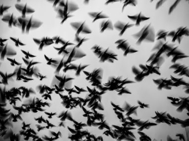 Maja-Tomisic-Time-files-001